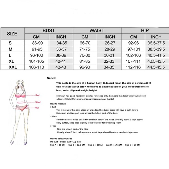 SOLD OUT - Picture 5 of 5